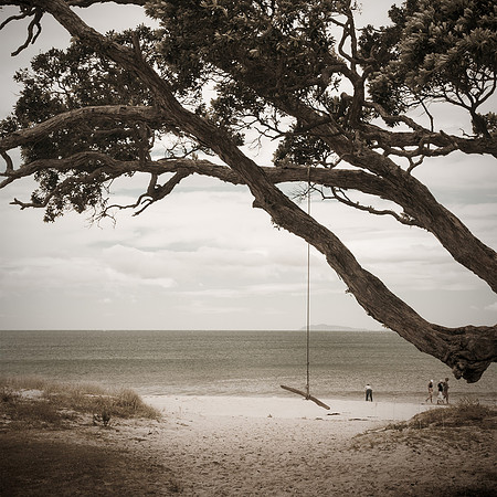 The Beach Swing