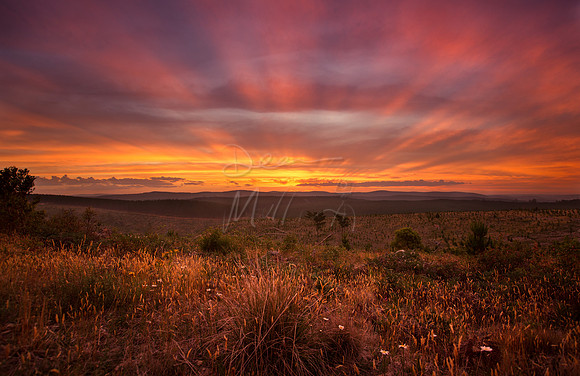 Blue Mountains at Sunset