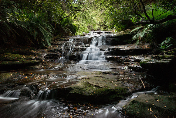 Leura Cascades