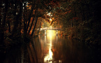 The Bridge