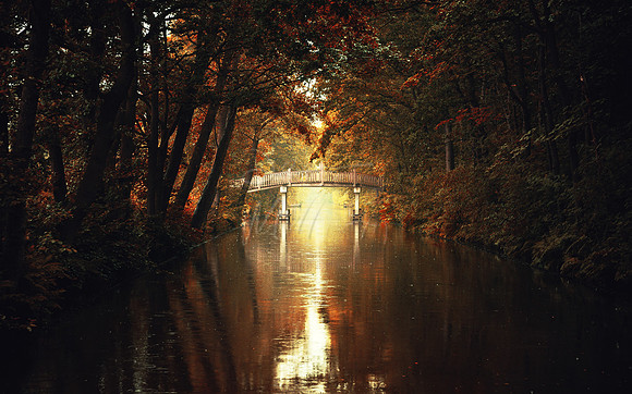 The Bridge