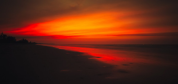 Burning Embers