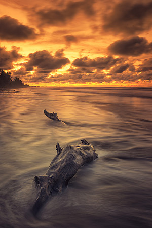 Beached