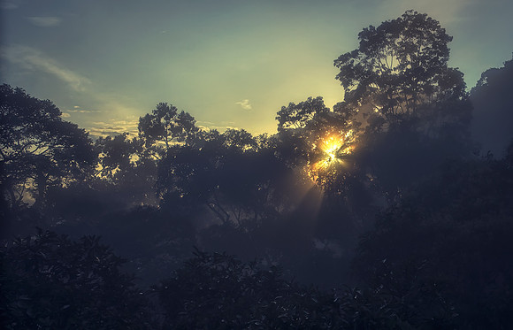 First Light