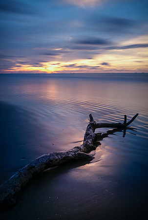 Blue Sunset