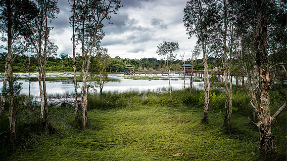 Lake View