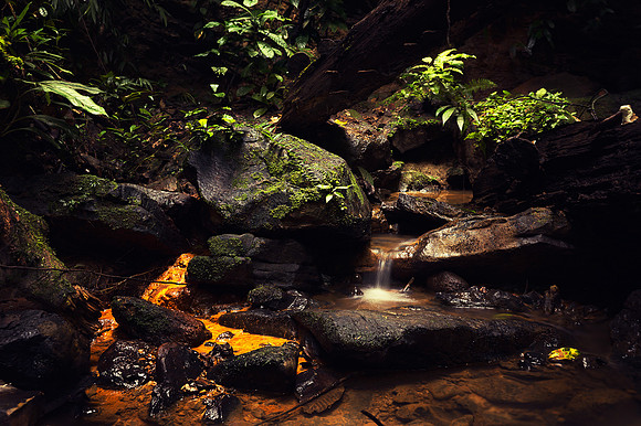 Rusty Falls