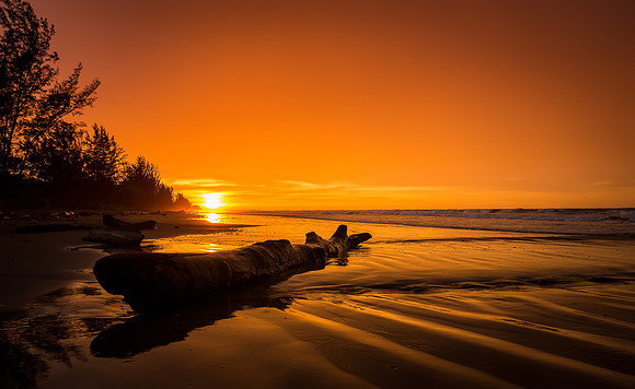 Orange Fire